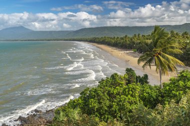 Port Douglas, Queensland, Avustralya 'daki görkemli tropikal altın kum Four Mile Sahili. Tropikal Kuzey Queensland 'in en popüler ve tanınmış plajlarından biridir..