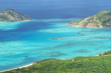 Avustralya 'nın Kertenkele Adası' ndaki Blue Lagoon körfezinde turkuaz suyu bulunan pitoresk tropikal altın rengi Mangrove Sahili. Kertenkele Adası Queensland 'ın kuzeydoğusundaki Büyük Set Resifi' nde yer almaktadır.