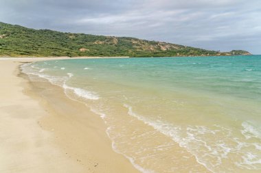 Avustralya 'nın Kertenkele Adası' ndaki Blue Lagoon körfezinde turkuaz suyu bulunan pitoresk tropikal altın rengi Mangrove Sahili. Kertenkele Adası Queensland 'ın kuzeydoğusundaki Büyük Set Resifi' nde yer almaktadır.