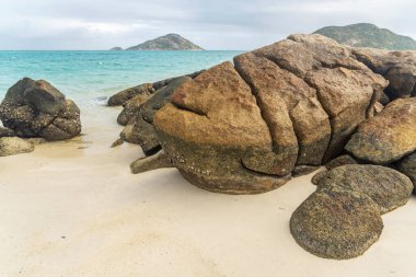 Avustralya 'nın Kertenkele Adası' ndaki Blue Lagoon körfezinde turkuaz suyu bulunan pitoresk tropikal altın rengi Mangrove Sahili. Kertenkele Adası Queensland 'ın kuzeydoğusundaki Büyük Set Resifi' nde yer almaktadır.