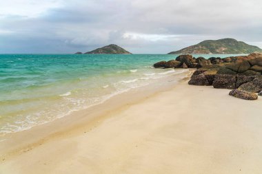 Avustralya 'nın Kertenkele Adası' ndaki Blue Lagoon körfezinde turkuaz suyu bulunan pitoresk tropikal altın rengi Mangrove Sahili. Kertenkele Adası Queensland 'ın kuzeydoğusundaki Büyük Set Resifi' nde yer almaktadır.