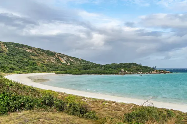 Avustralya 'nın Kertenkele Adası' ndaki Blue Lagoon körfezinde turkuaz suyu bulunan pitoresk tropikal altın rengi Mangrove Sahili. Kertenkele Adası Queensland 'ın kuzeydoğusundaki Büyük Set Resifi' nde yer almaktadır.