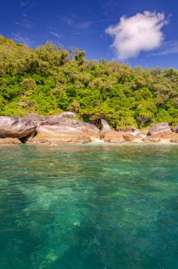 Fitzroy Adası 'nda kaya parçaları ve turkuaz su bulunan tropikal mercan plajı. Cairns, Queensland, Avustralya 'nın güneydoğusunda bir kıta adasıdır..