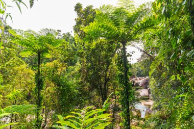 Resimli Babinda Kayaları ve Deresi, Queensland, Avustralya. Babindais, Cairns 'in 60 km güneyinde yer alan bir kırsal kasaba..