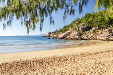 Magnetic Island, Queensland, Avustralya 'da granit kayalar ve turkuaz suyla pitoresk altın kumlu Alma Sahili. Ada, Townsville 'in 8 km açığında bir tatil beldesi..