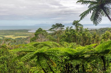 Queensland, Avustralya 'daki Alexandra Dağı' nın muhteşem manzarası. Daintree yağmur ormanlarında yer almaktadır..