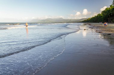 Port Douglas, Queensland, Avustralya 'daki görkemli tropikal kumlu dört mil plajı. Tropikal Kuzey Queensland 'in en popüler ve tanınmış plajlarından biridir..