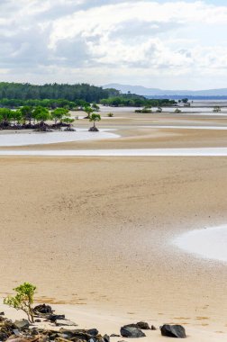 Queensland, Avustralya 'daki Yule Point Coral See kumlu sahil şeridinden olağanüstü manzara. Port Douglas 'ın 10 km güneyinde yer almaktadır..