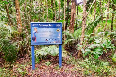 Daintree Yağmur Ormanı, Queensland, Avustralya 'da Cassowary bilgi panosu