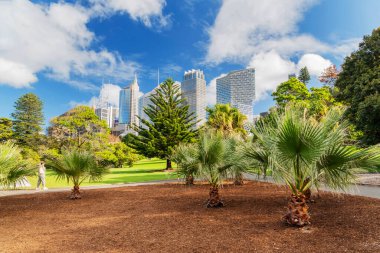 Sydney Kraliyet Botanik Bahçesi. Bahçe 1816 yılında açıldı ve Avustralya 'nın en eski bilimsel enstitüsüdür..