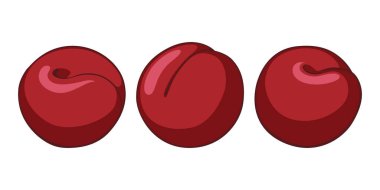 olgun erik beyaz arkaplanda izole.