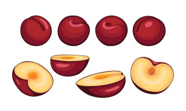 Beyaz arkaplanda izole edilmiş erik seti.