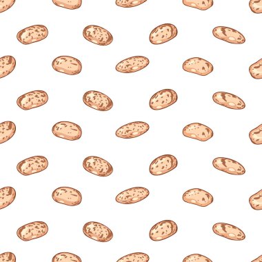 Pinto beans isolated on white background. Background Design.