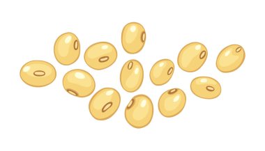 soya tohumları beyaz arkaplanda izole