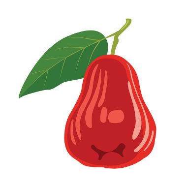 Rose elma ile yaprakları üzerinde izole beyaz arka plan.