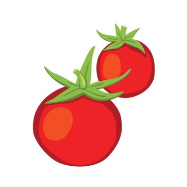 Beyaz arka planda izole edilmiş iki domates.