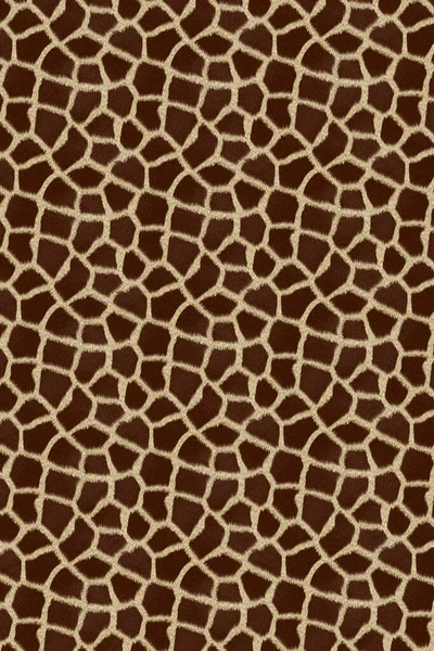 stock image african animal fur skin pattern surface texture backdrop