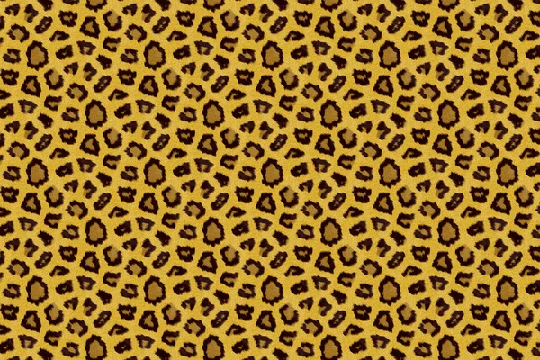 African Animal Fur Skin Pattern Surface Texture — Stock Photo, Image