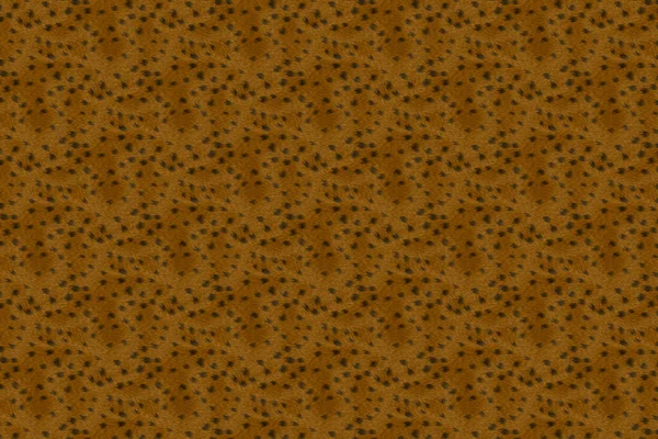 Afrikanisches Tierfell Hautmuster Oberflächenstruktur — Stockfoto