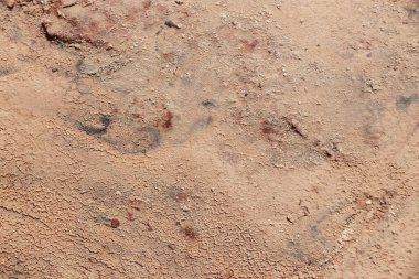 Taş desen arka plan doku duvar