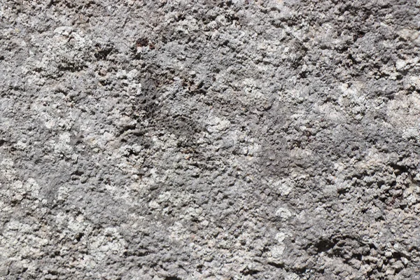 Fondo Textura Pared Piedra — Foto de Stock