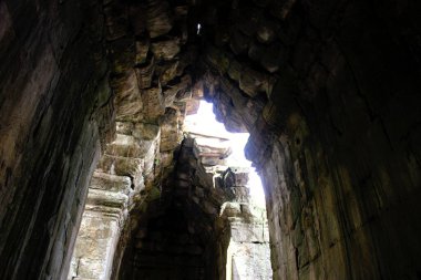 Angkor ne tapınağı Kamboçya phnom penh siem hasadı