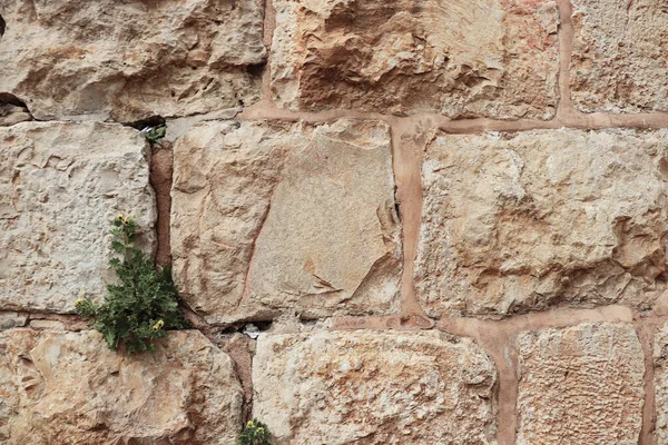 Stone Wall Background Surface Backdrop — Stock Photo, Image