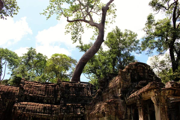 Angkor Wat Templo Cambodia Phnom Penh Siem Cosechar — Foto de Stock