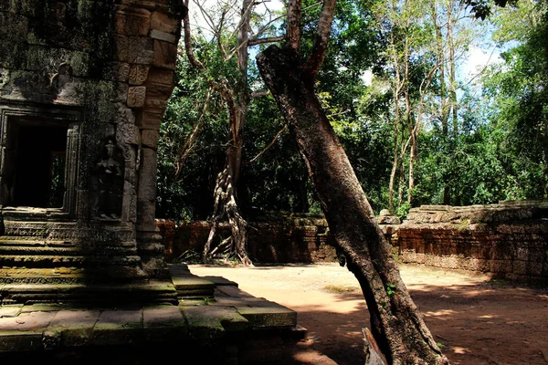 Angkor Wat Templo Cambodia Phnom Penh Siem Colher — Fotografia de Stock