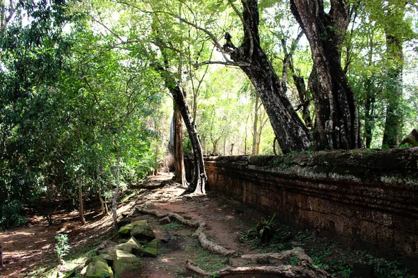 アンコールワット寺院カンボジアプノンペンシームは収獲 — ストック写真