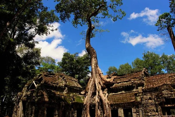 Angkor Wat Tempel Cambodia Phnom Penh Siem Skörd — Stockfoto