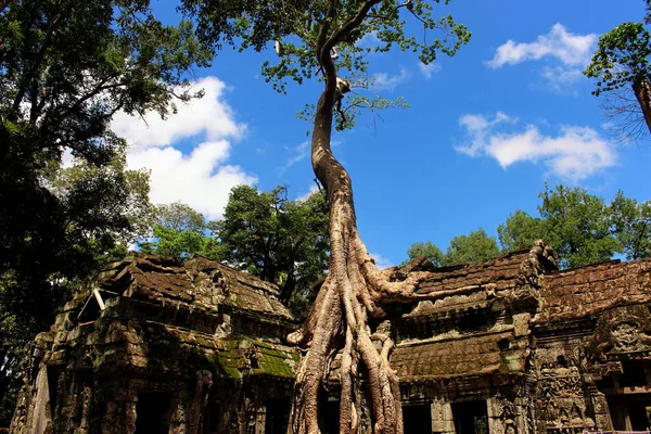 Angkor Wat Temple Cambodia Phnom Penh Siem — стоковое фото