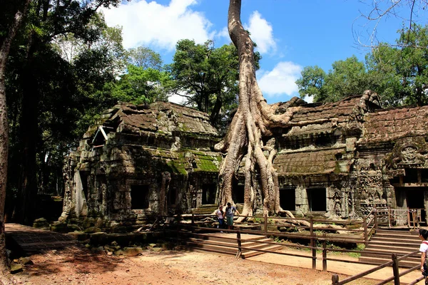 Angkor Wat Tempel Kambodscha Phnom Penh Siem Ernten — Stockfoto
