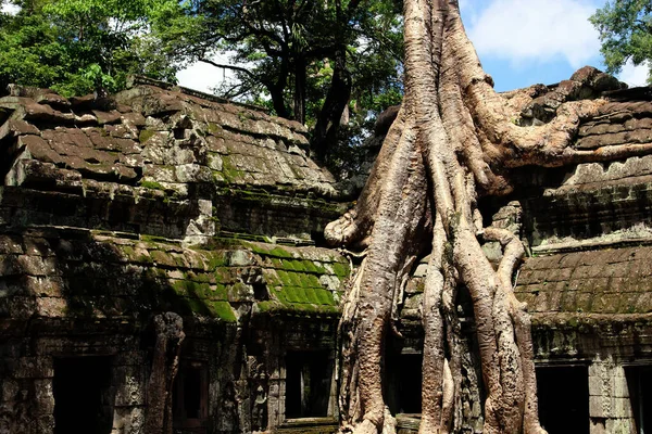 Angkor Wat Temple Cambodia Phnom Penh Siem Moissonner — Photo