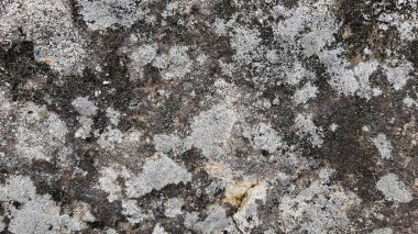 Taş duvar arkaplan duvar kağıdı arkaplan yüzeyi