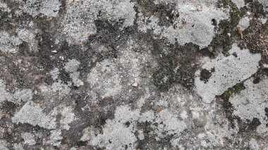 Taş duvar arkaplan duvar kağıdı arkaplan yüzeyi