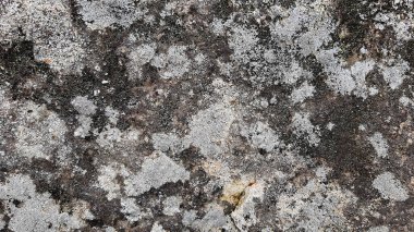 Taş duvar arkaplan duvar kağıdı arkaplan yüzeyi