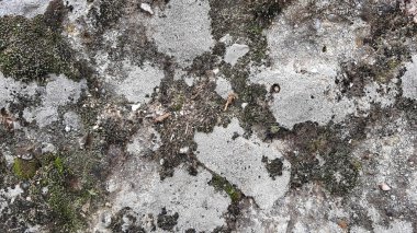 Taş duvar arkaplan duvar kağıdı arkaplan yüzeyi