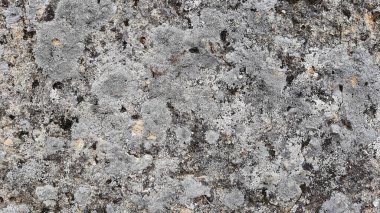 Taş duvar arkaplan duvar kağıdı arkaplan yüzeyi