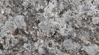 Taş duvar arkaplan duvar kağıdı arkaplan yüzeyi