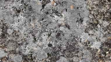 Taş duvar arkaplan duvar kağıdı arkaplan yüzeyi