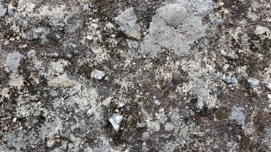 Taş duvar arkaplan duvar kağıdı arkaplan yüzeyi