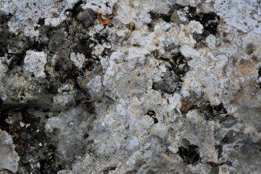 Taş duvar arkaplan duvar kağıdı arkaplan yüzeyi