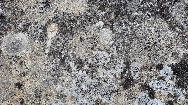 Stein Wand Hintergrund Tapete Hintergrund Oberfläche — Stockfoto
