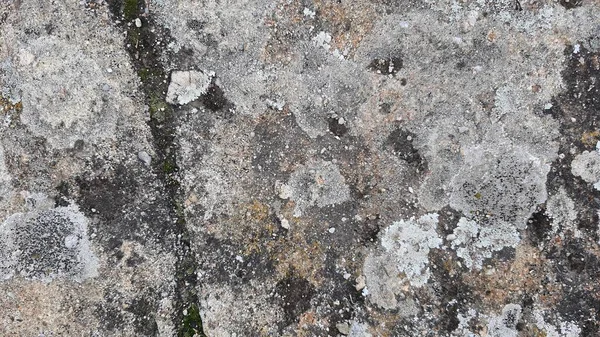 Stein Wand Hintergrund Tapete Hintergrund Oberfläche — Stockfoto