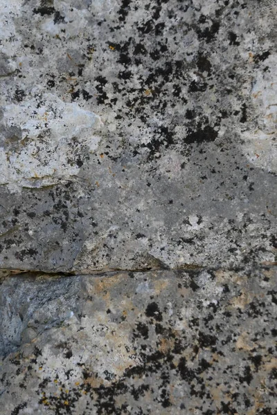 Обои Рабочего Стола Каменной Стеной — стоковое фото