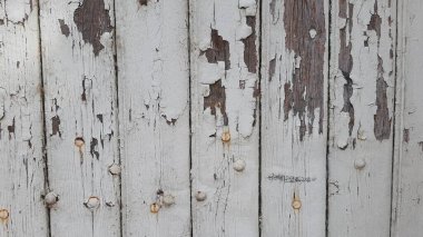 ahşap tahıl ağacı arkaplan dokusu