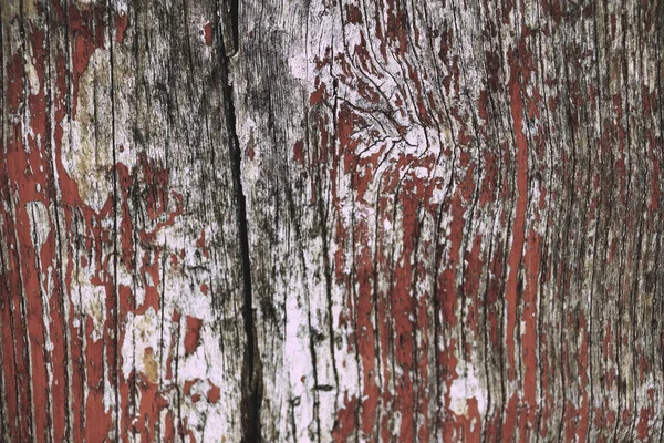 老旧的乡村木材树木墙纸结构质感背景 — 图库照片