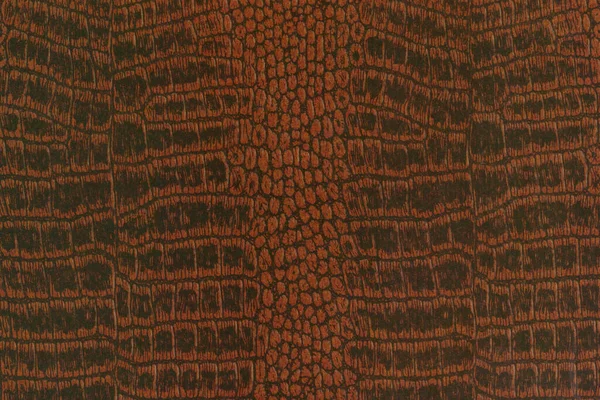 Desain Abstrak Tekstur Seni Wallpaper Pola — Stok Foto