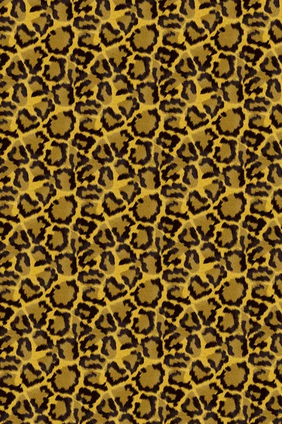 Peau Fourrure Animale Africaine Motif Texture Surface Toile Fond — Photo